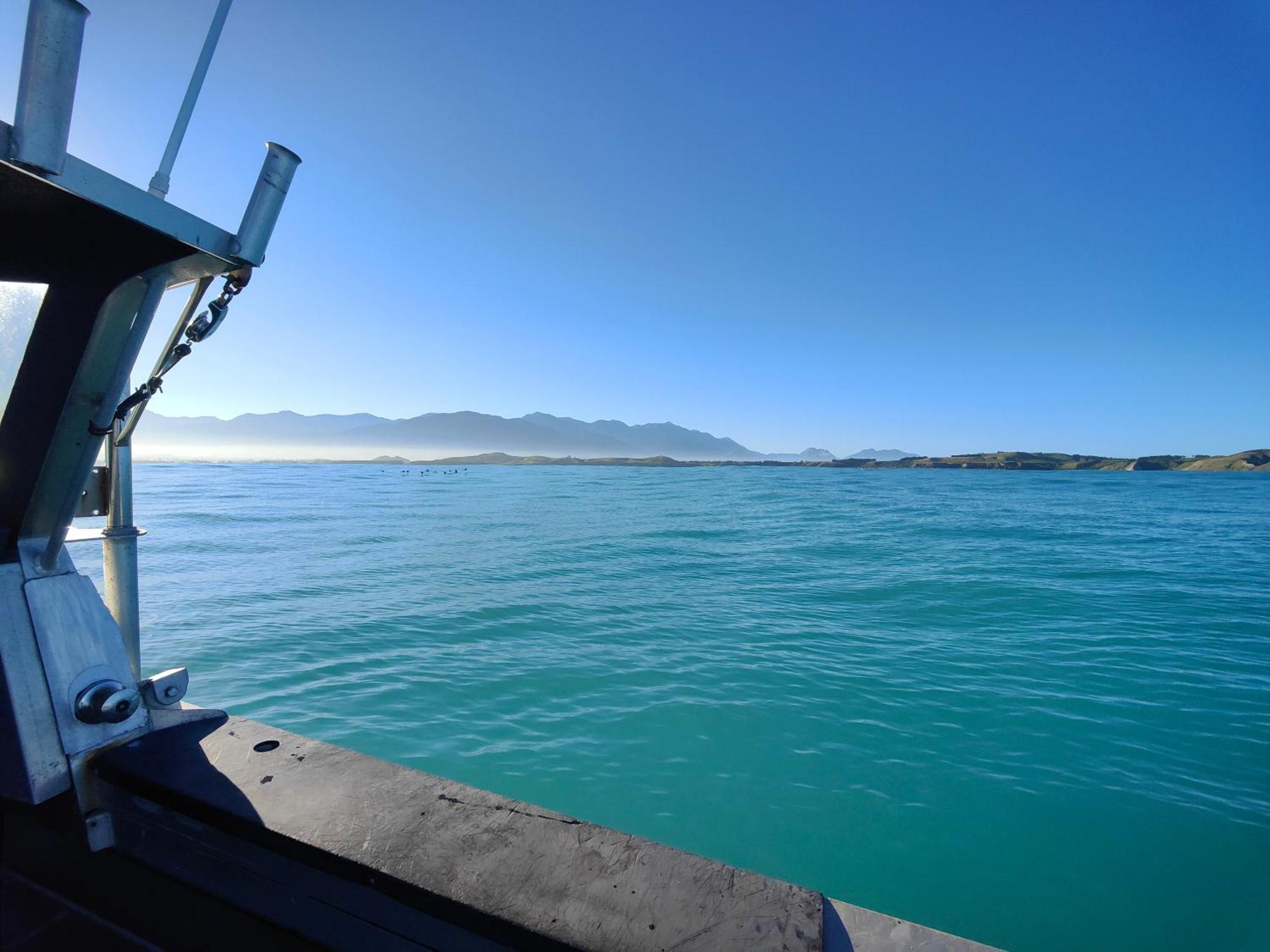 Kaikoura Peninsula Retreat Villa Ngoại thất bức ảnh